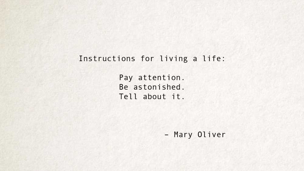 instructions for living a life