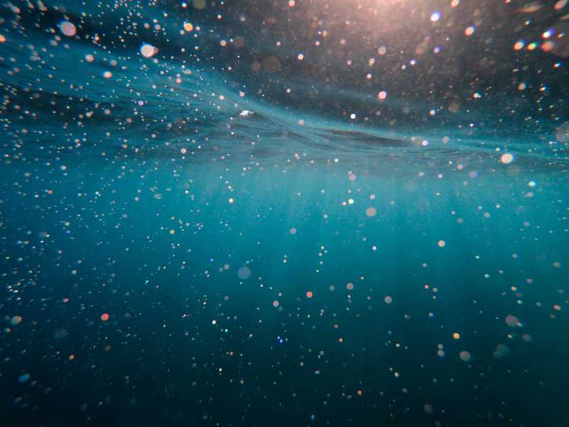 The Deep